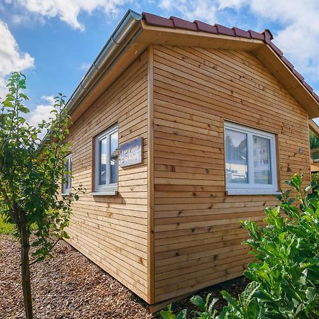 فيلا Tiny-Ferienhaeusle Casa Wendy Loßburg المظهر الخارجي الصورة