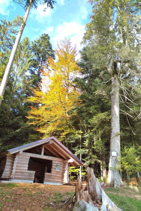 فيلا Tiny-Ferienhaeusle Casa Wendy Loßburg المظهر الخارجي الصورة